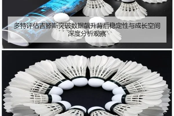 多特评估吉滕斯突破数据飙升背后稳定性与成长空间深度分析观察