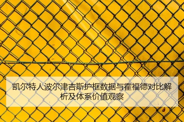 凯尔特人波尔津吉斯护框数据与霍福德对比解析及体系价值观察